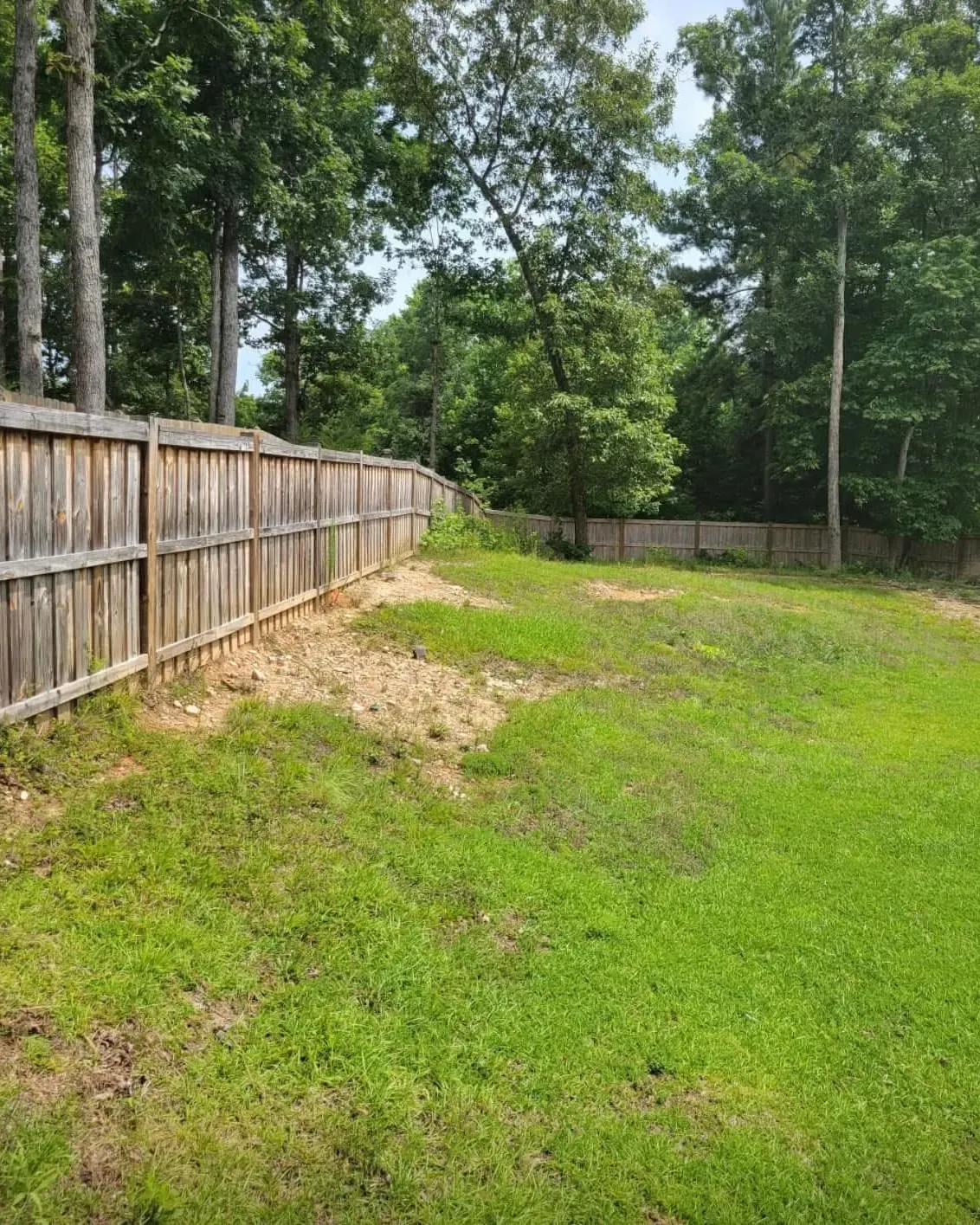 Sod installation in a residential yard